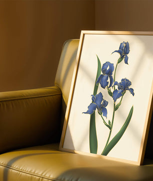 Flores de lirio azul elegantes con acentos dorados sobre un fondo blanco