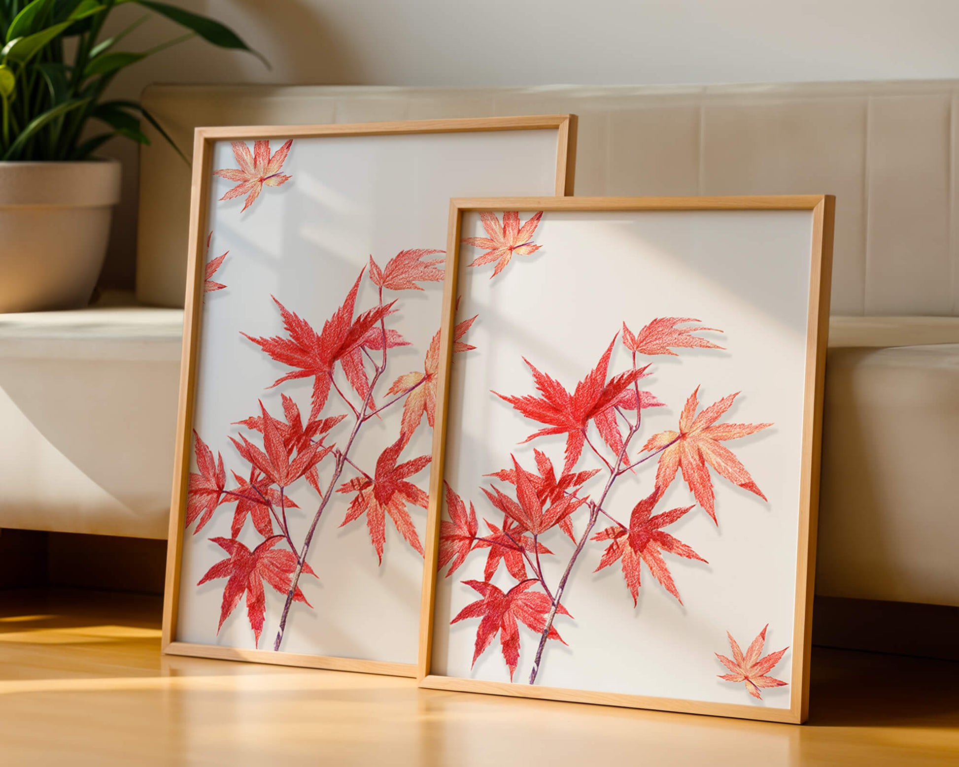 Delicate red maple leaves on white background
