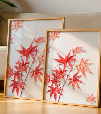 Delicate red maple leaves on white background