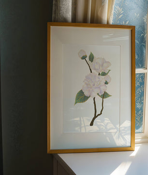 Delicate blooming flowers with lush leaves in elegant design