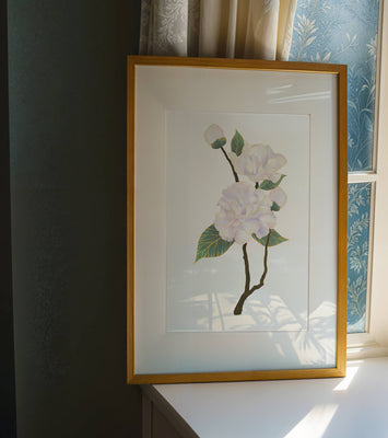 Delicate blooming flowers with lush leaves in elegant design
