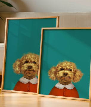 Portrait de caniche charmant en tenue de fête sur fond turquoise