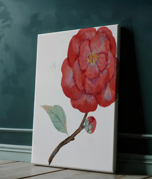 Watercolor illustration of a red camellia flower with green leaves
