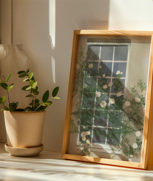 Floral Window with Climbing Roses in a Tranquil Setting