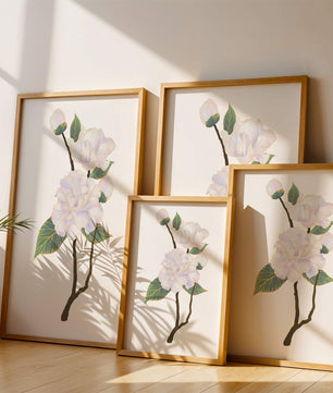 Delicate blooming flowers with lush leaves in elegant design