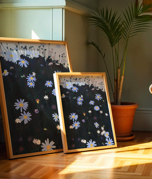 Field Of Blue And White Daisies On A Dark Background
