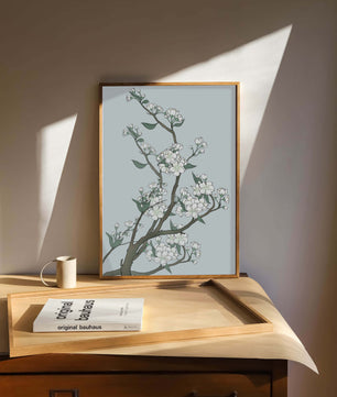 Delicate cherry blossoms on a soft blue background
