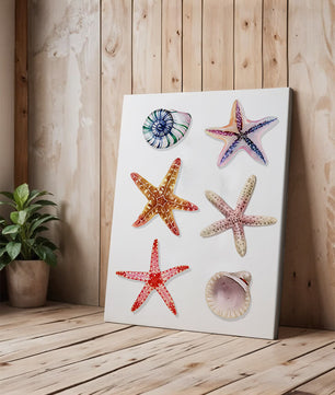Watercolor collection of seashells and starfish illustration