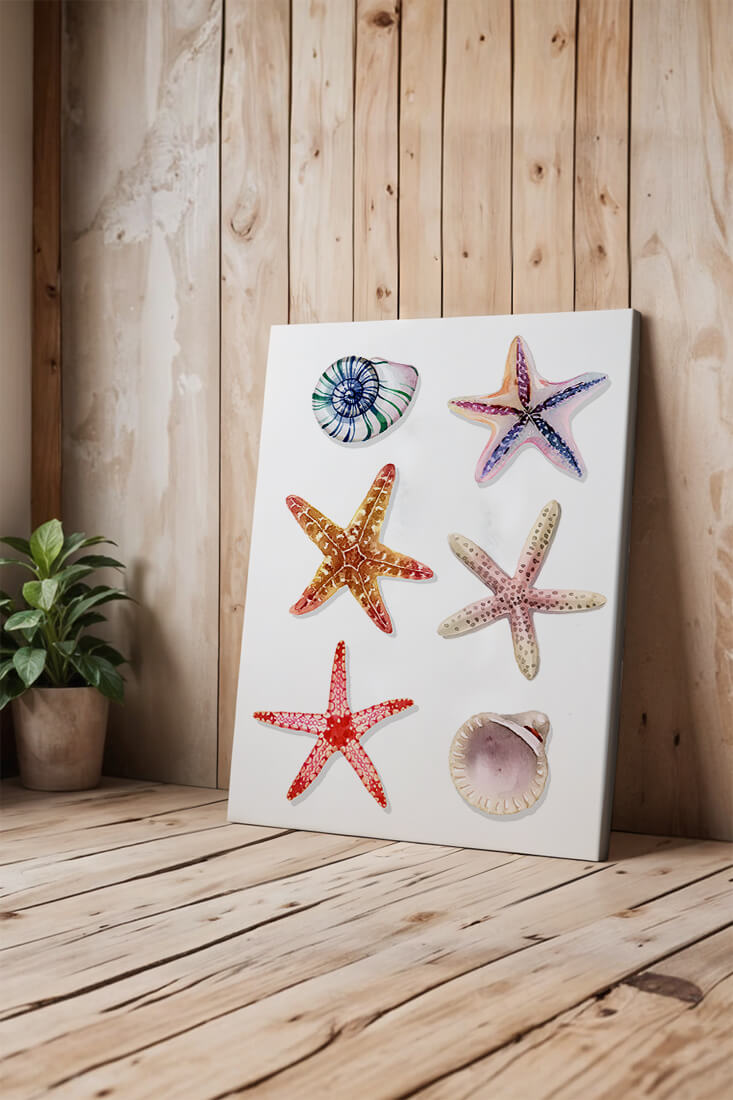 Watercolor collection of seashells and starfish illustration