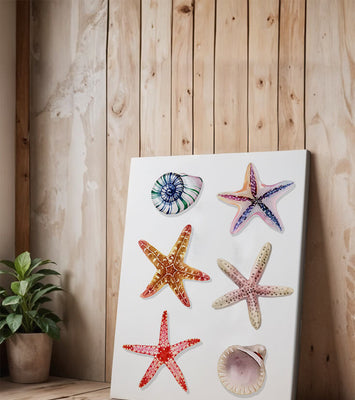 Watercolor collection of seashells and starfish illustration