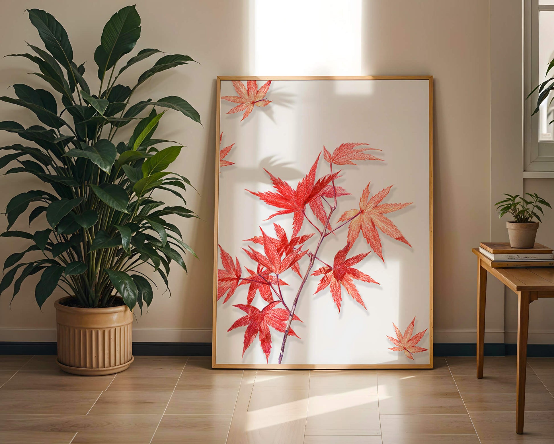 Delicate red maple leaves on white background