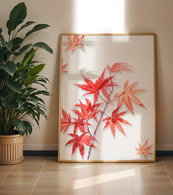 Delicate red maple leaves on white background