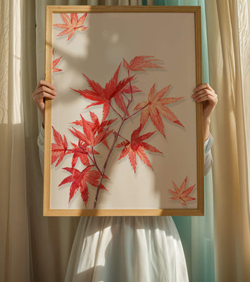 Delicate red maple leaves on white background