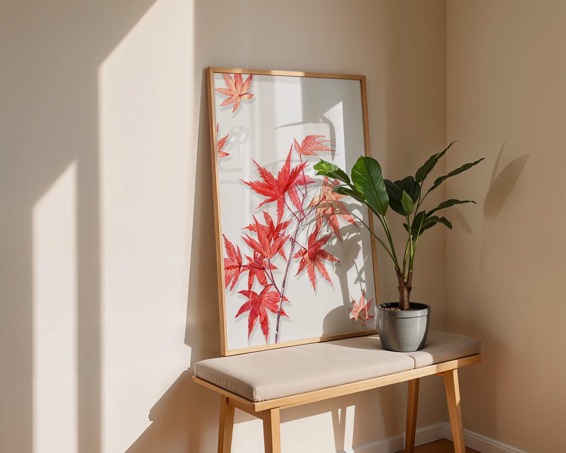 Delicate red maple leaves on white background