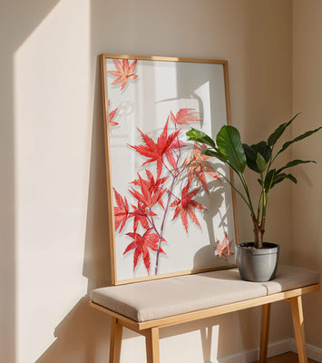 Delicate red maple leaves on white background