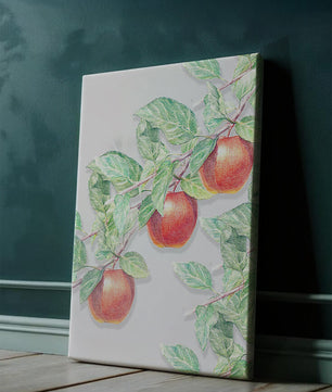 Ilustración de manzanas en la rama de un árbol con hojas verdes