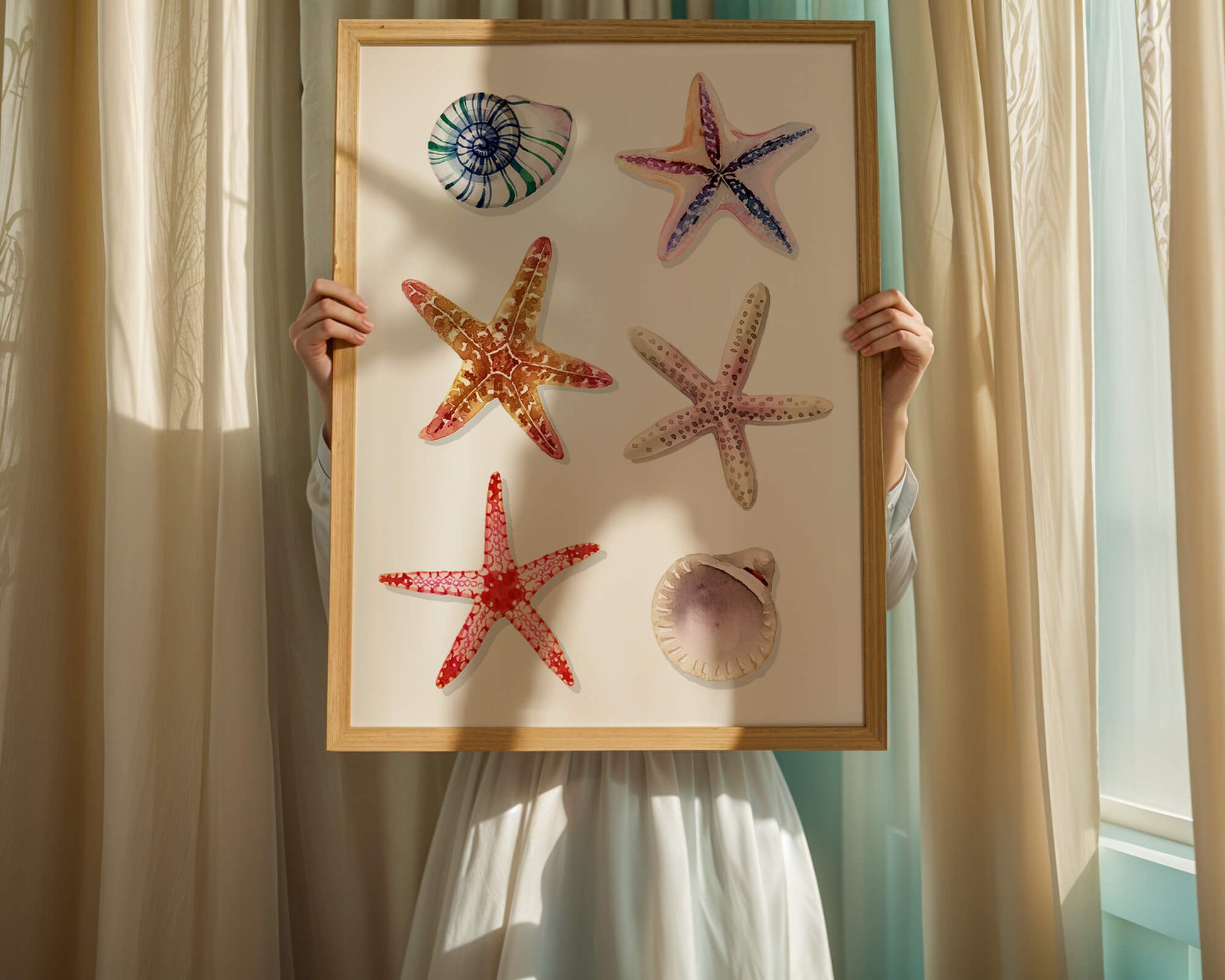 Watercolor collection of seashells and starfish illustration