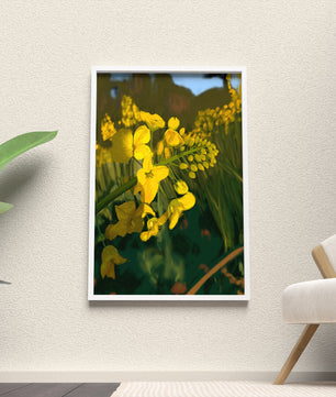 Close-up view of vibrant yellow flowers in a lush green field