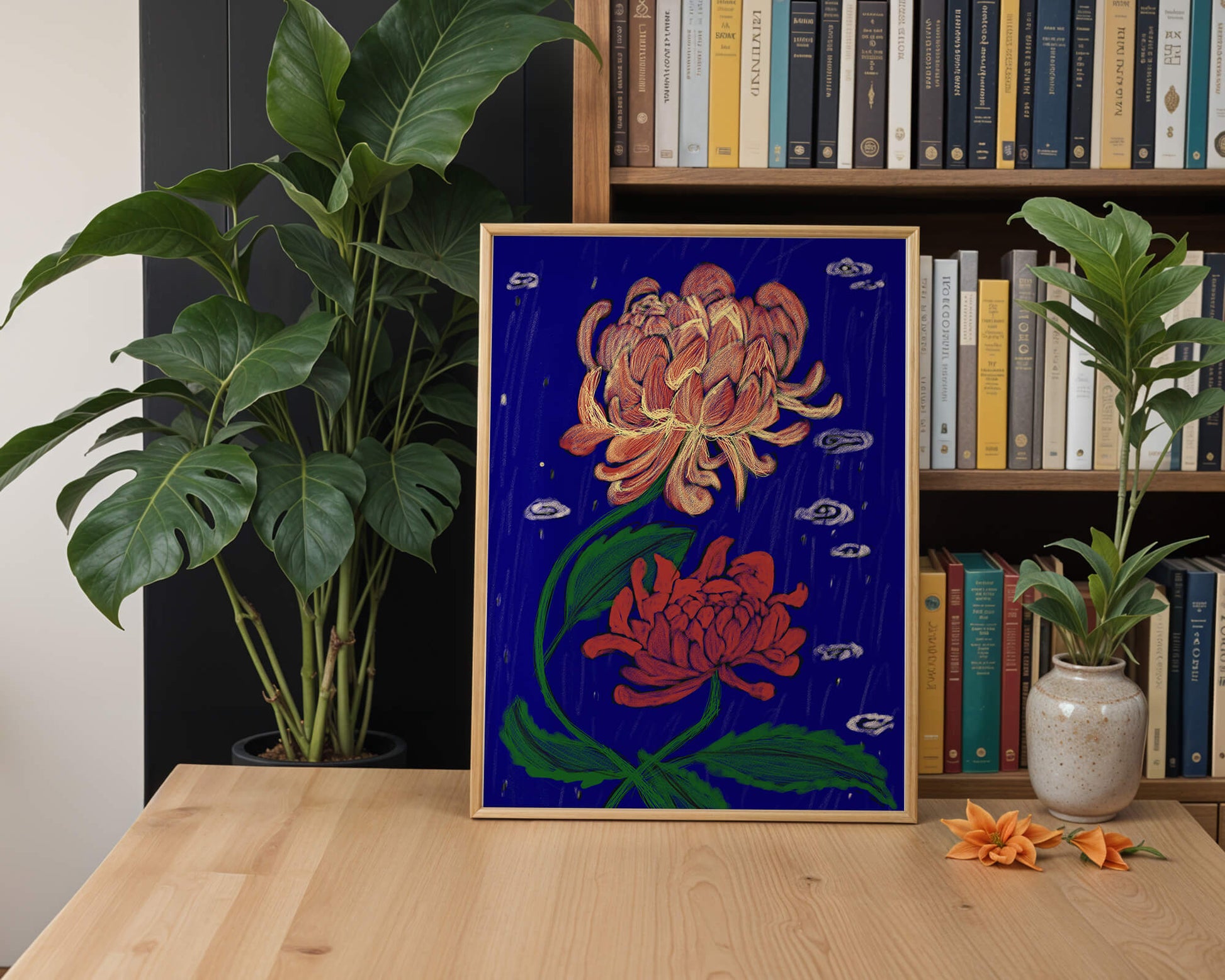 Colorful chrysanthemum illustration on dark blue background