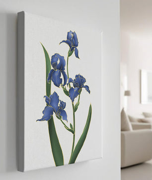 Flores de lirio azul elegantes con acentos dorados sobre un fondo blanco