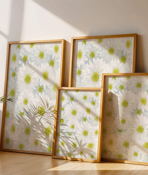 White Daisies Pattern with Yellow Centers