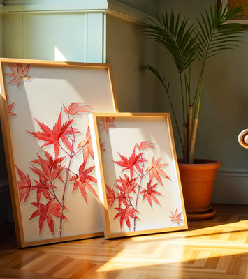 Delicate red maple leaves on white background