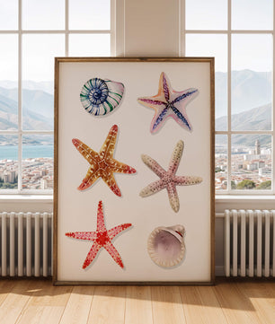 Watercolor collection of seashells and starfish illustration