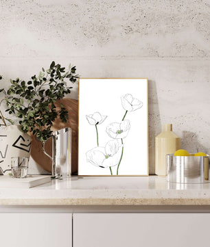 Zarte florale Linienzeichnung mit weißen Mohnblumen auf sauberem Hintergrund