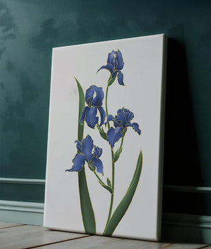 Flores de lirio azul elegantes con acentos dorados sobre un fondo blanco