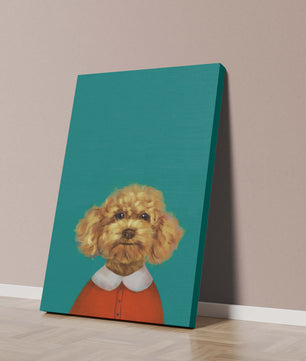 Portrait de caniche charmant en tenue de fête sur fond turquoise