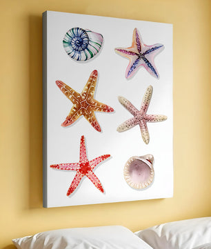 Watercolor collection of seashells and starfish illustration