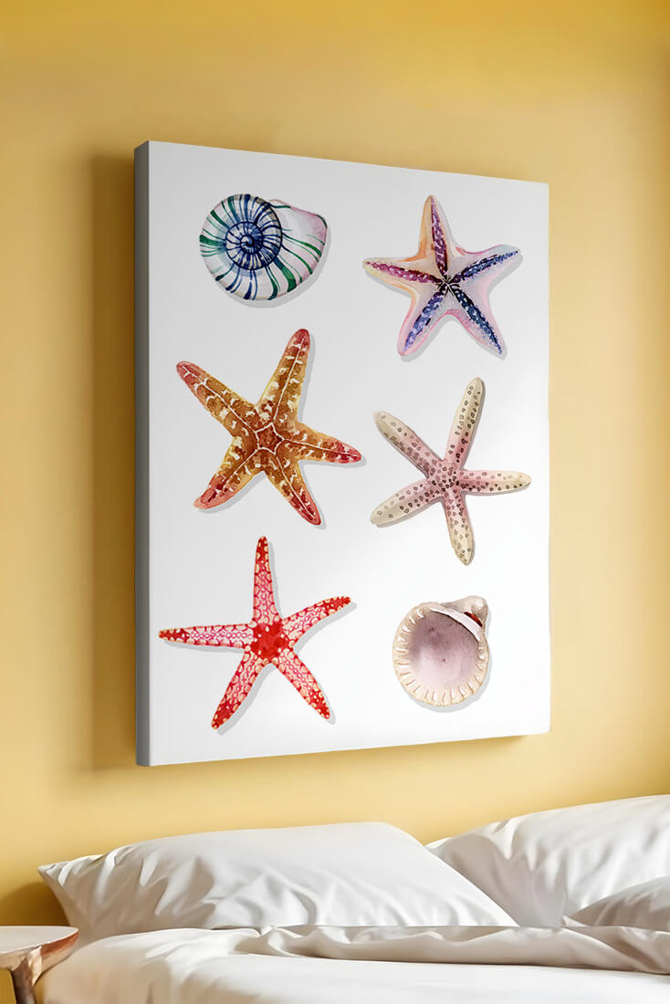 Watercolor collection of seashells and starfish illustration