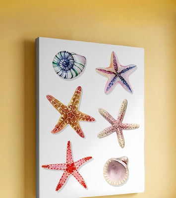 Watercolor collection of seashells and starfish illustration