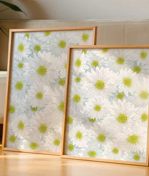 White Daisies Pattern with Yellow Centers