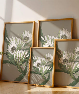 Beautiful botanical illustration of white blooming flowers with green leaves