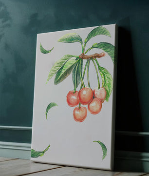 Ilustración realista de rama de cerezo con hojas verdes