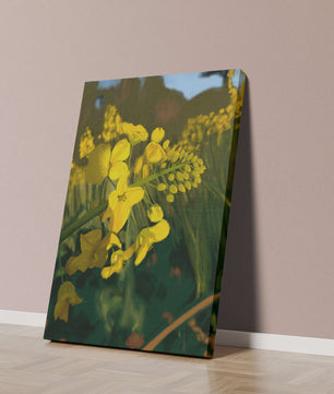 Close-up view of vibrant yellow flowers in a lush green field