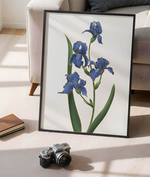 Flores de lirio azul elegantes con acentos dorados sobre un fondo blanco