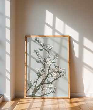 Delicate cherry blossoms on a soft blue background