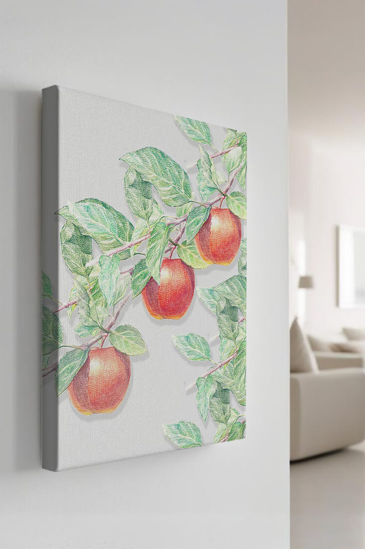 Illustration of Apples on a Tree Branch with Green Leaves