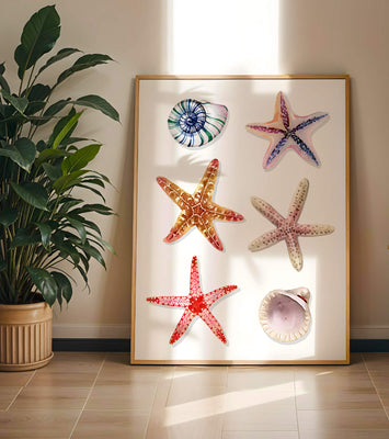 Watercolor collection of seashells and starfish illustration