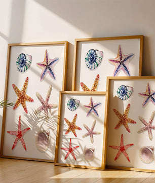 Watercolor collection of seashells and starfish illustration