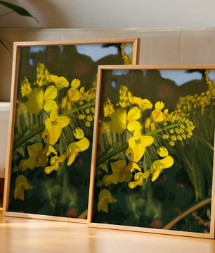 Close-up view of vibrant yellow flowers in a lush green field