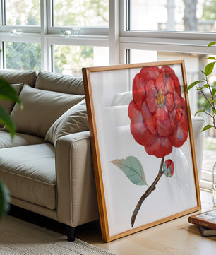 Watercolor illustration of a red camellia flower with green leaves