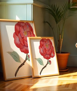 Watercolor illustration of a red camellia flower with green leaves