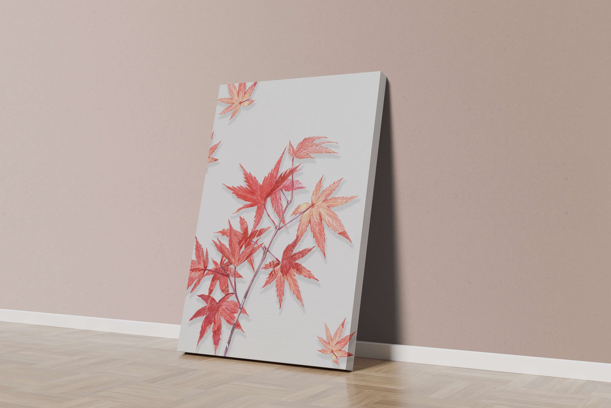 Delicate red maple leaves on white background