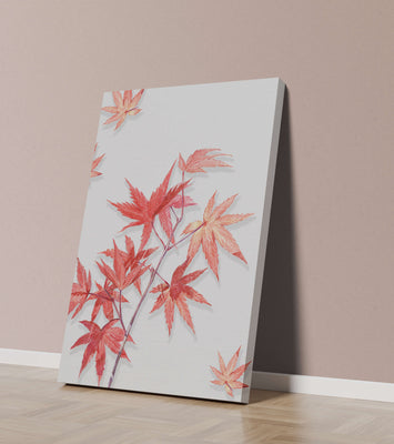 Delicate red maple leaves on white background