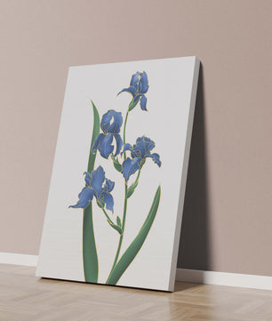 Flores de lirio azul elegantes con acentos dorados sobre un fondo blanco