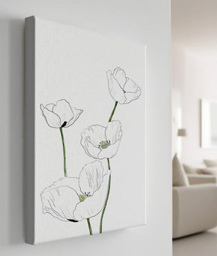 Zarte florale Linienzeichnung mit weißen Mohnblumen auf sauberem Hintergrund