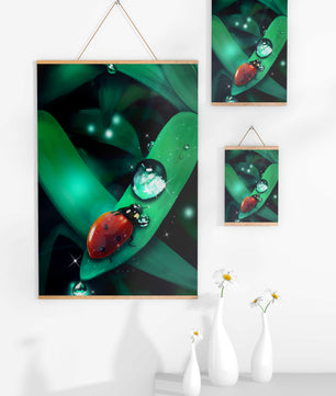 Ladybug on a Leaf with Dew Drops in a Vibrant Nature Scene - Mi tienda